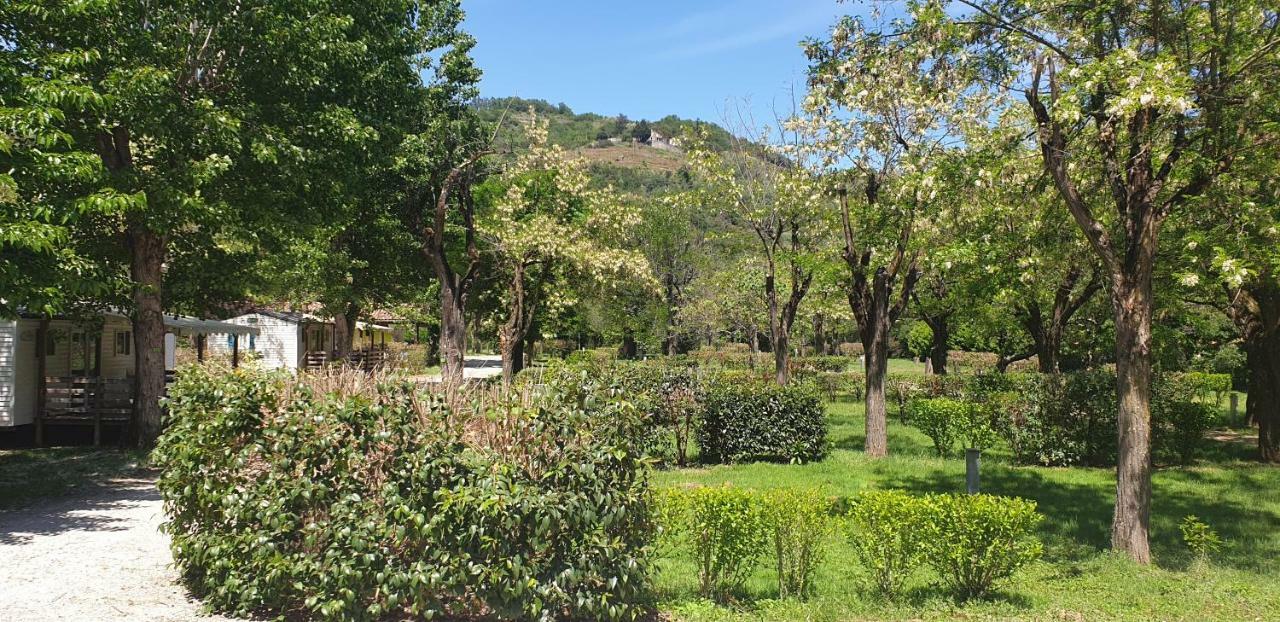 Camping Avec Piscine Et Riviere A Tournon Sur Rhone Ardeche Εξωτερικό φωτογραφία