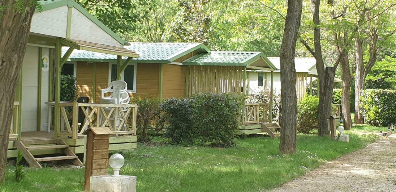 Camping Avec Piscine Et Riviere A Tournon Sur Rhone Ardeche Εξωτερικό φωτογραφία